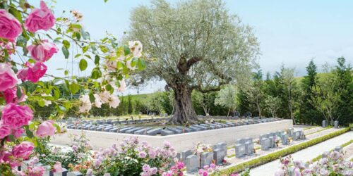 浄土真宗（西本願寺派）の歴史とお墓との関係