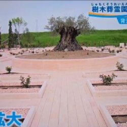 【メディア掲載】テレビ大阪「やさしいニュース」にて、日本最大級の新樹木葬エリアが紹介されました！