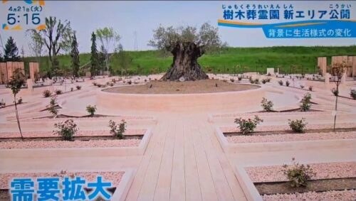 【メディア掲載】テレビ大阪「やさしいニュース」にて、日本最大級の新樹木葬エリアが紹介されました！
