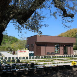 よろしくお願いします！