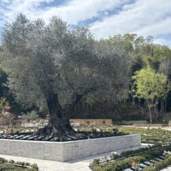 宗派別 お焼香の作法