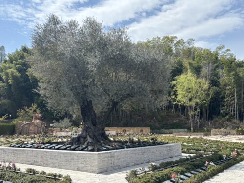 宗派別 お焼香の作法