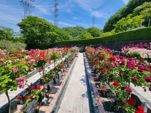 葬儀でローソクと線香をともし続ける意味とは