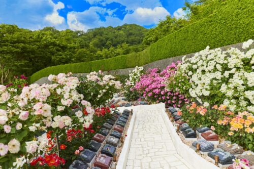 樹木葬を探すなら？費用相場や失敗しない比較方法を解説