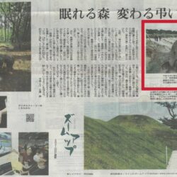 7/14（火）読売新聞の夕刊に掲載されました