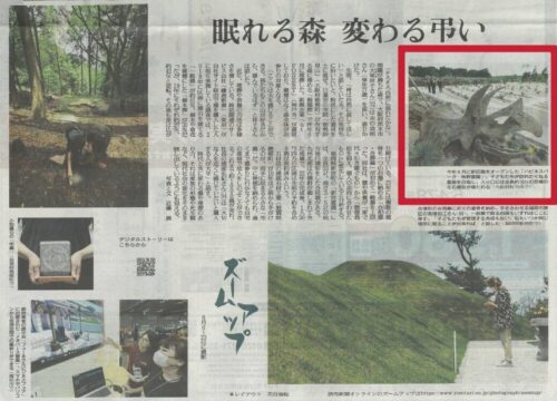 7/14(火)読売新聞の夕刊に掲載されました