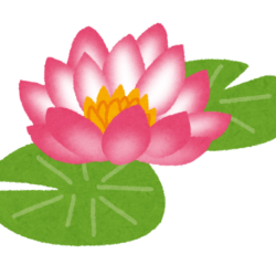 モネの睡蓮を見に行きませんか？
